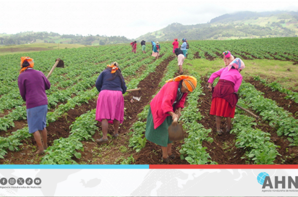 Honduras entrega títulos de propiedad a mujeres campesinas