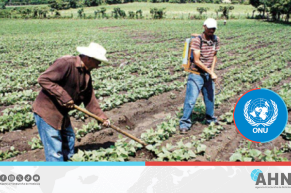 Honduras destaca avances en programas sociales ante la ONU