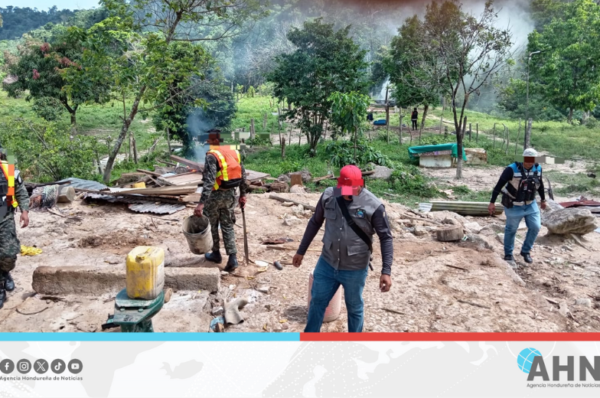 Gobierno hondureño realiza acciones contra delitos ambientales en el norte del país