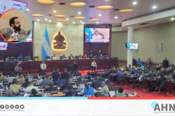Congreso hondureño investigará instituciones financiadas  por USAID
