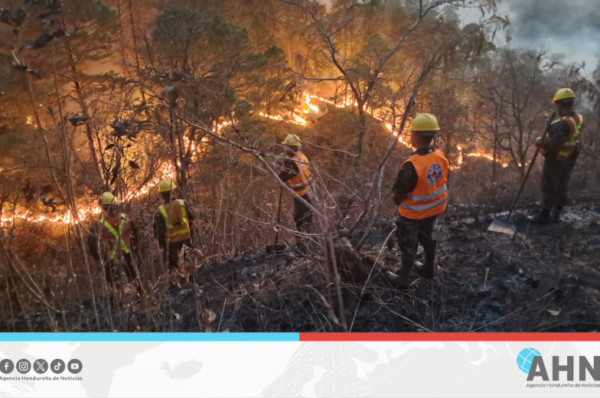 Fuerzas Armadas combaten 13 incendios forestales en Honduras