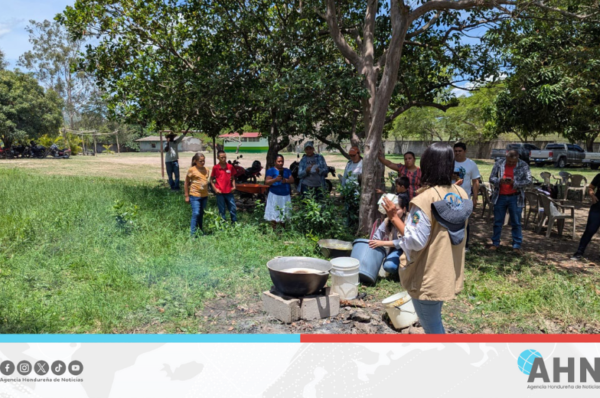 Impulsa Honduras huertos escolares pedagógicos en municipios del centro del país