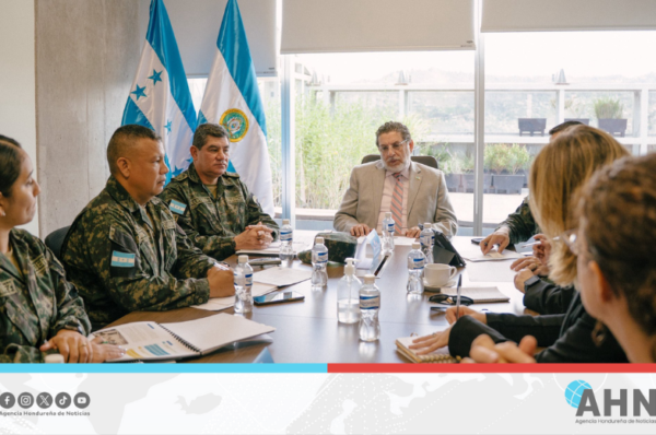 Defensa de Honduras se reúne con Departamento de Seguridad de la OEA