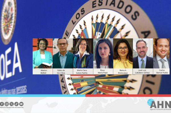 Candidatos a CIDH presentan propuestas en reunión de la OEA