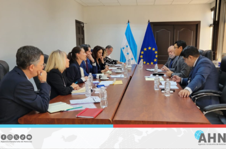 Recibe Honduras Misión Exploratoria para evaluar observación en comicios generales