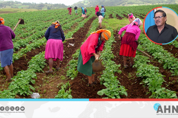 Instituto Nacional Agrario subraya compromiso con las mujeres campesinas hondureñas