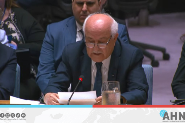Embajador palestino se pronuncia entre lágrimas en la ONU por muerte de niños en Gaza