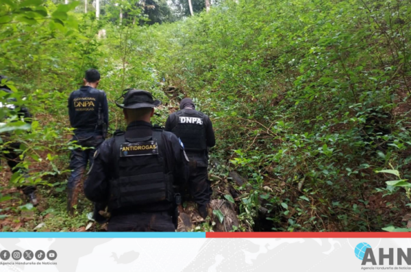 Honduras refuerza acciones antidrogas con nuevo decomiso en zona norte