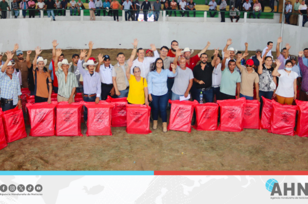 Gobierno entrega insumos agrícolas a 600 productores en occidente de Honduras
