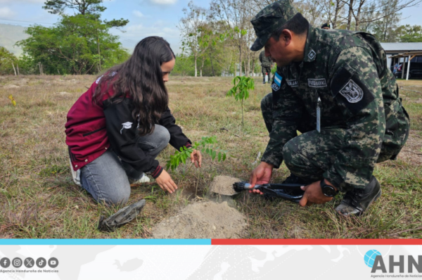 Fuerzas Armadas de Honduras afianzan reforestación en día del Árbol Nacional