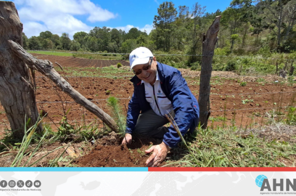 Gobierno de Honduras impulsa reforestación comunitaria en el occidente del país
