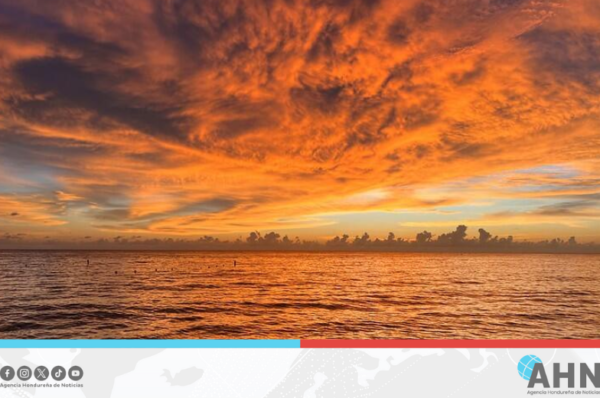 Temperaturas globales seguirán en niveles récord hasta 2029, advierte OMM