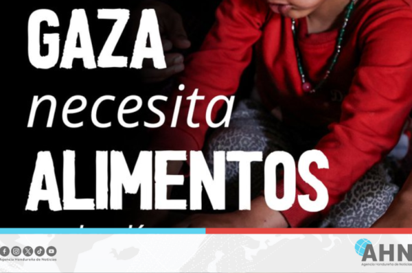 Organismo internacional pronóstica que 71 mil niños en Gaza sufrirán desnutrición mortal