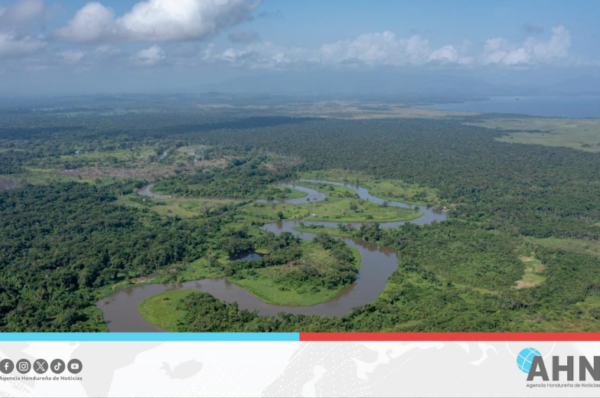 China desmiente información sobre exploración petrolera en Honduras