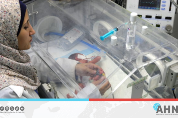 Organismo advierte que escasez de alimentos ocasionado por Israel asfixia Gaza