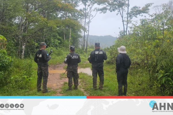 FFAA detectan construcción ilegal de carretera en zona protegida de Honduras