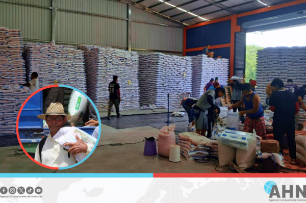 Lanzarán Bono Tecnológico Productivo 2025 para fortalecer agricultura en Honduras