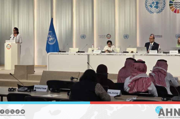Cuba denuncia en la ONU escaso avance global en protección de los océanos