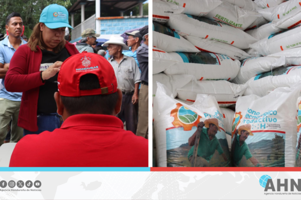 Gobierno de Honduras entrega 1,700 bonos a familias productoras de la capital