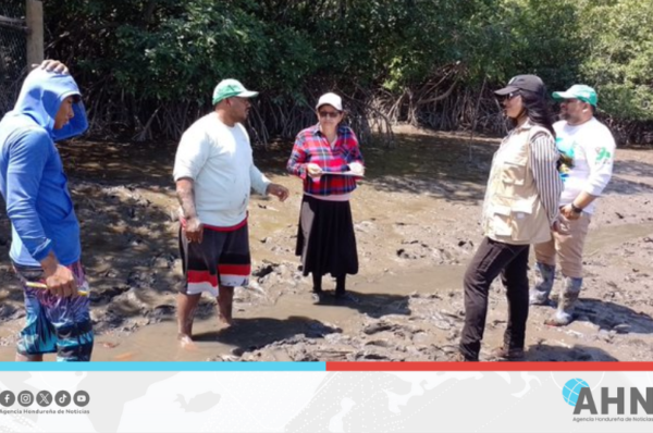 Refuerza Honduras desarrollo institucional para la pesca y acuicultura
