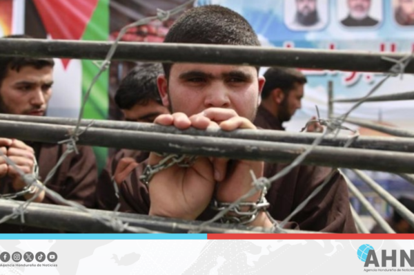 Palestina responsabiliza a ejército israelí por cientos de desapariciones en Franja de Gaza