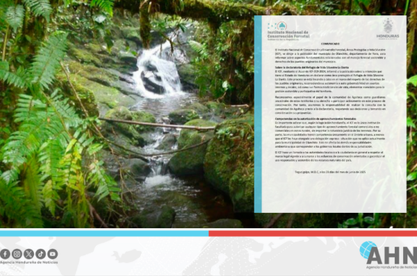 Instituto forestal hondureño avanza en declaratoria de nueva zona silvestre