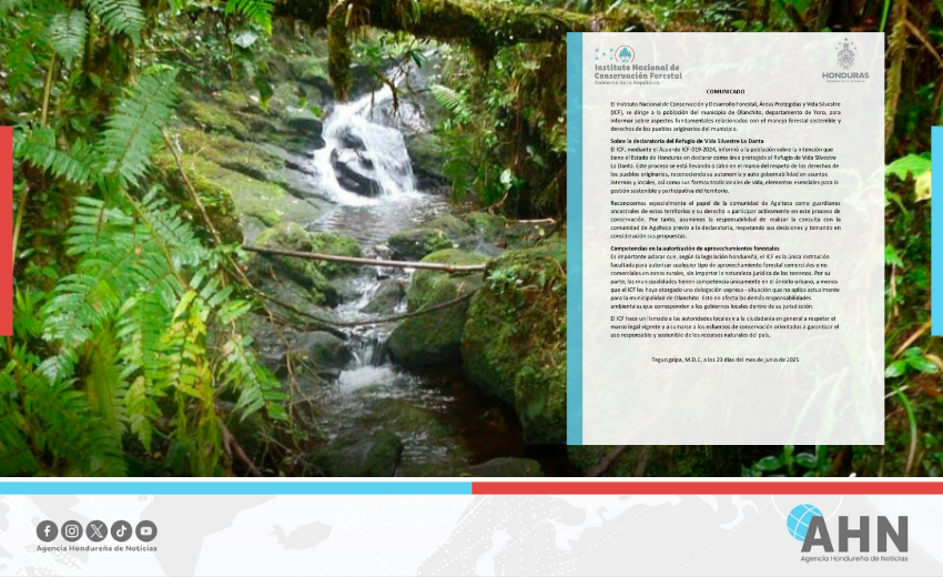 Instituto forestal hondureño avanza en declaratoria de nueva zona silvestre