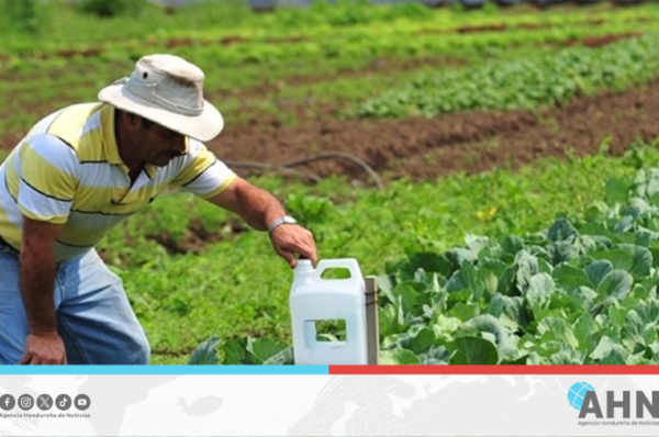 Impulsan innovación agrícola con soluciones tecnológicas biodegradables en Honduras
