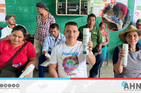 Capacitan a más de 11 mil hondureños en prevención de gusano barrenador