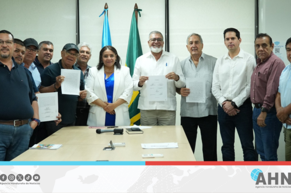 Acuerda Honduras fijar precio del maíz blanco en 520 lempiras