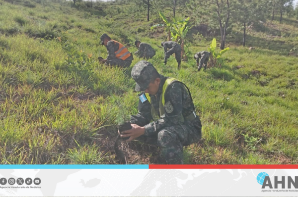 FFAA lideran jornadas de reforestación en zonas protegidas de Honduras