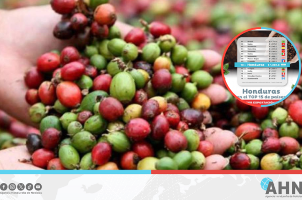 Honduras se posiciona entre los 10 mayores exportadores de café del mundo