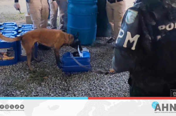 Fuerzas Armadas hondureñas detienen camión cargado con supuesta cocaína