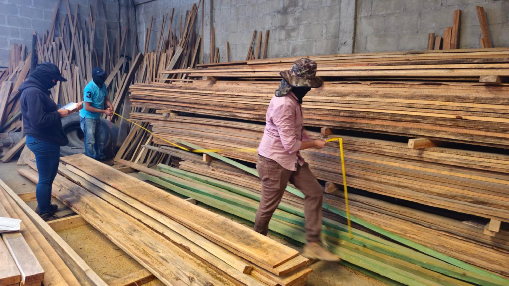 Autoridades realizan auditorías para garantizar legalidad forestal en Honduras.