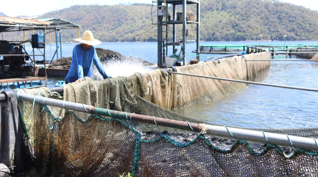 Gobierno hondureño confirma exoneración de canon contributivo a pescadores artesanales. 