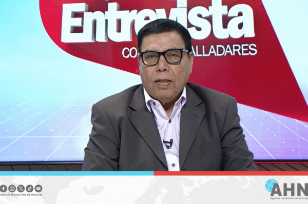 Denuncia de consejera valida acusaciones de ilegitimidad, según analista hondureño