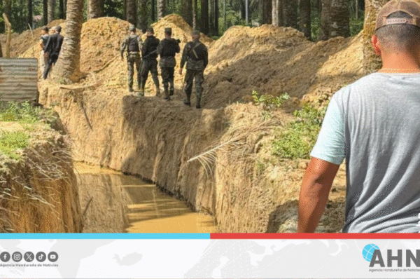 Instituto forestal hondureño inspecciona parque nacional ante posible daño ambiental