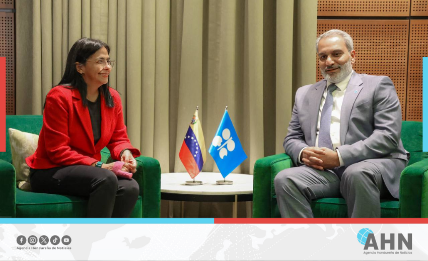 Venezuela participa en 9.º Seminario Internacional de la OPEP