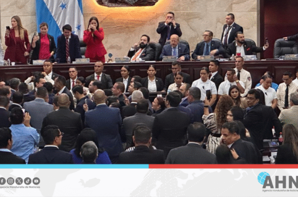 Diputada hondureña denuncia daños y agresiones del bipartidismo en el Congreso