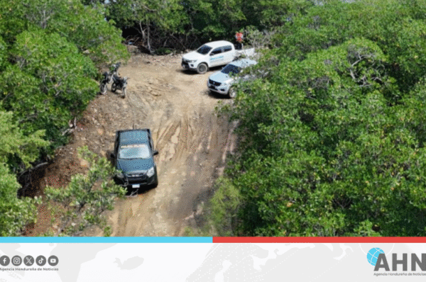 Honduras refuerza protección ambiental con más de 200 intervenciones