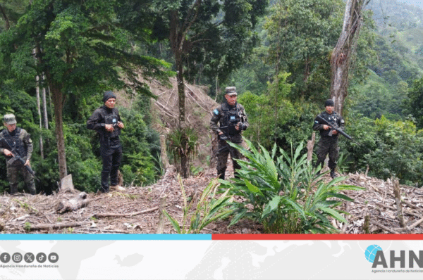FFAA activan alarmas ambientales en occidente hondureño por estrategia Cero Deforestación