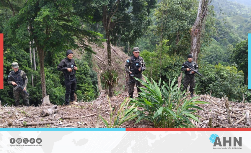 FFAA activan alarmas ambientales en occidente hondureño por estrategia Cero Deforestación
