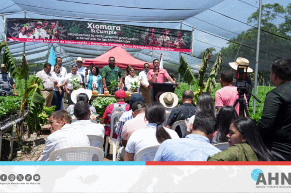 Instituto forestal lanza programa Agrobosques en norte de Honduras