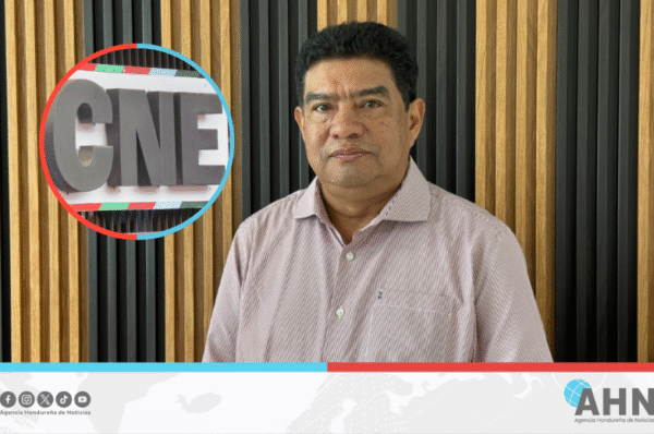 Analista hondureño sostiene que elección de consejero electoral requiere consenso