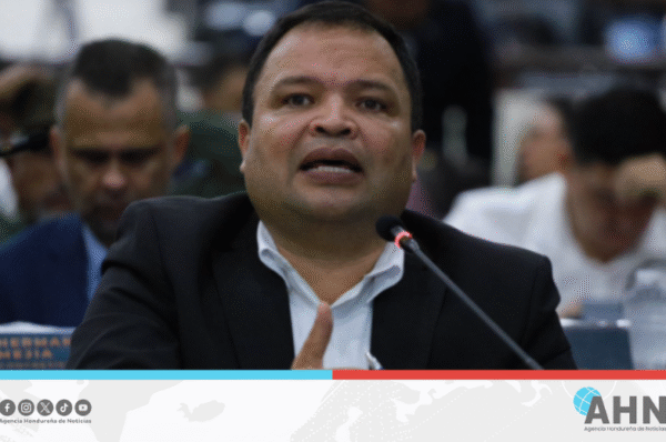 Diputado oficialista insta a consenso para elecciones justas y transparentes