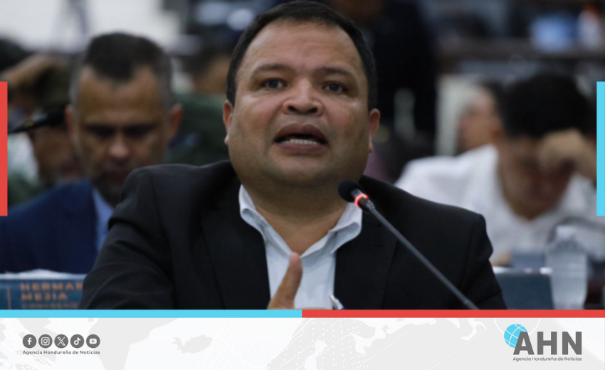 Diputado oficialista insta a consenso para elecciones justas y transparentes