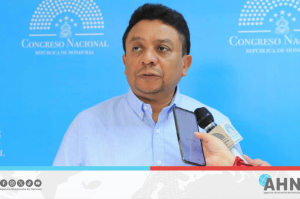 Diputado hondureño pide investigar renuncia de consejera por apología al odio
