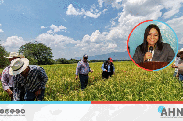 Ministra hondureña destaca logro en reactivación de cadenas agroalimentarias
