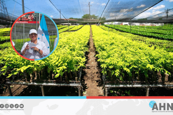 Presidenta de Honduras impulsa proyecto “Agrobosques” para el café sostenible