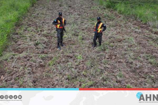 Instituto forestal de Honduras ejecuta operación ambiental en zona protegida